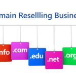 domain reselling business
